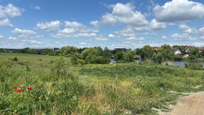 Corbeanca (Tamasi), teren intravilan langa lac si padure.