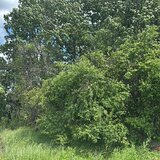 Corbeanca (Tamasi), teren intravilan langa lac si padure